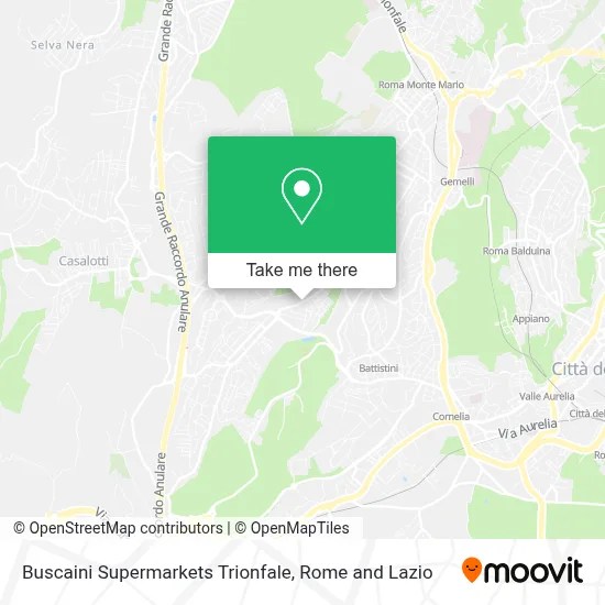 Buscaini Supermarkets Trionfale map