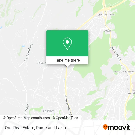 Orsi Real Estate map