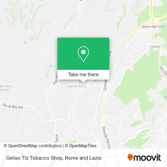 Geliso Tiz Tobacco Shop map