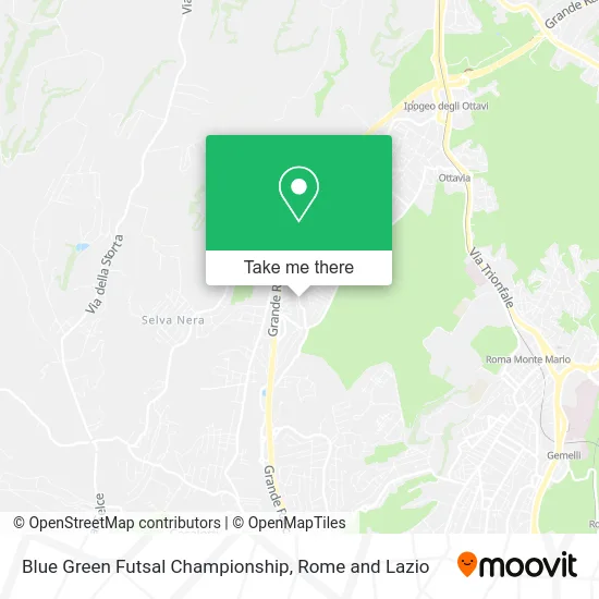 Blue Green Futsal Championship map