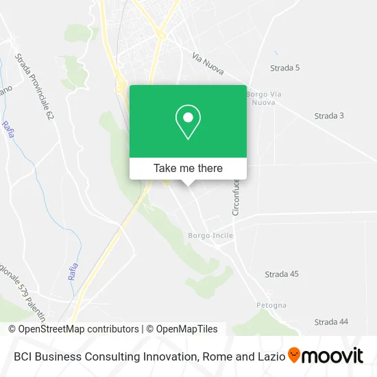 BCI Business Consulting Innovation map