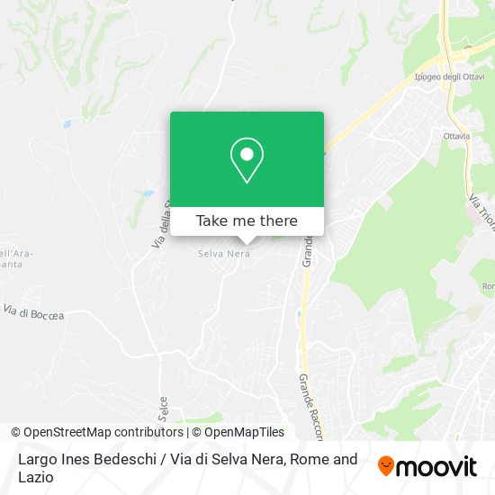 Largo Ines Bedeschi / Via di Selva Nera map