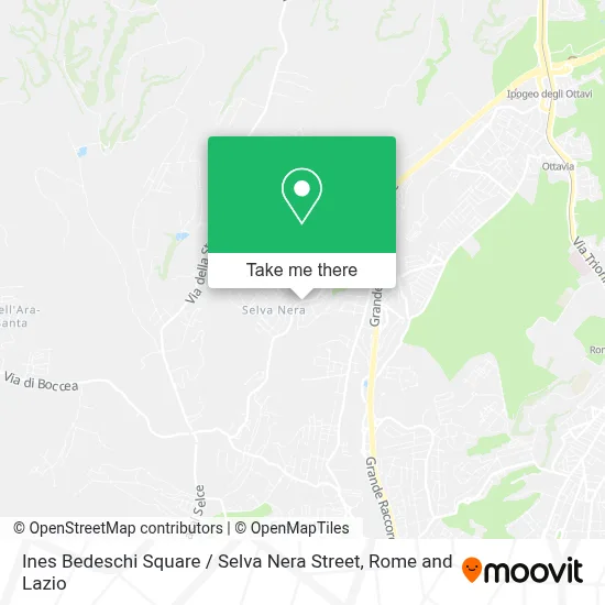Ines Bedeschi Square / Selva Nera Street map