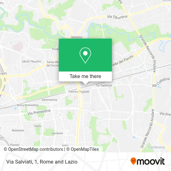 Salviati Street, 1 map