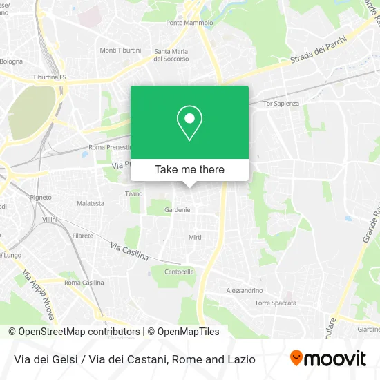 Gelsi Street / Castani Street map