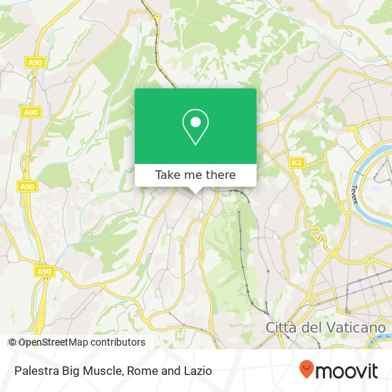 Palestra Big Muscle map