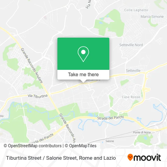 Tiburtina Street / Salone Street map