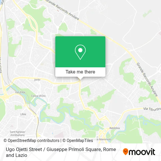 Ugo Ojetti Street / Giuseppe Primoli Square map