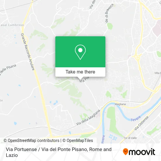 Portuense Street / Ponte Pisano Street map