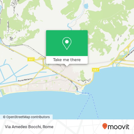 Via Amedeo Bocchi map