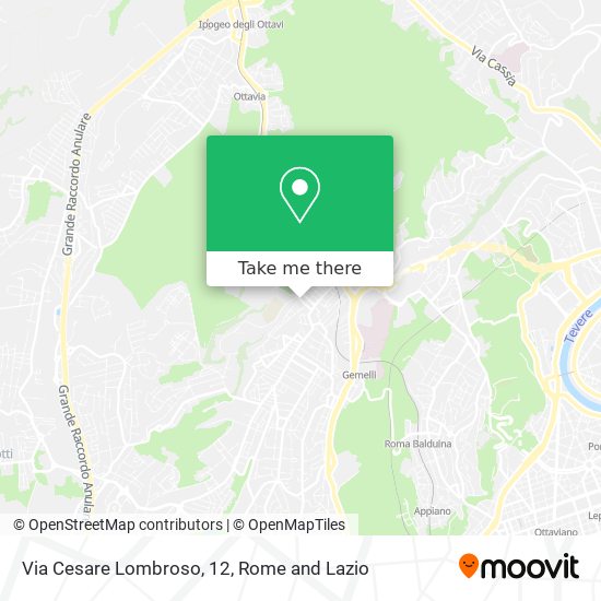 Via Cesare Lombroso, 12 map