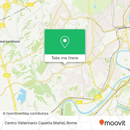 Centro Veterinario Casetta Mattei map