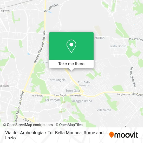 Archaeology Street / Tor Bella Monaca map