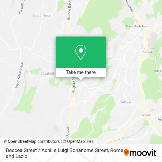 Boccea Street / Achille Luigi Bonanome Street map