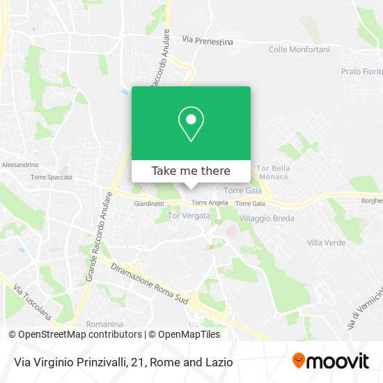 Via Virginio Prinzivalli, 21 map