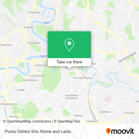Punto Centro Srls map