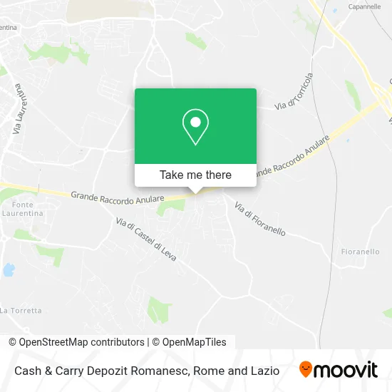 Cash & Carry Depozit Romanesc map