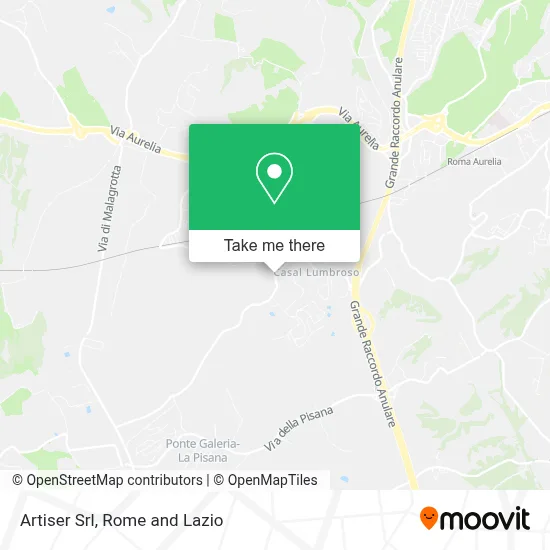 Artiser Srl map