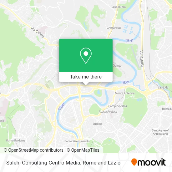 Salehi Consulting Centro Media map