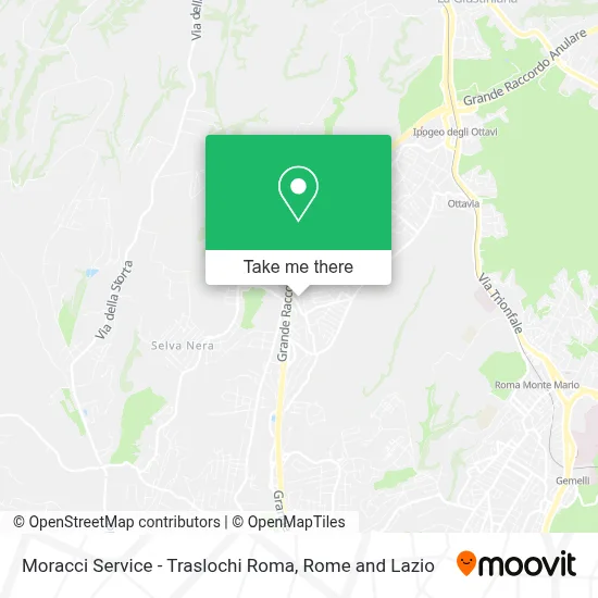 Moracci Service - Traslochi Roma map