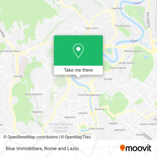 Blue Immobiliare map