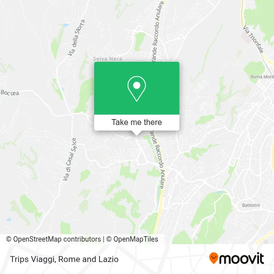 Trips Viaggi map