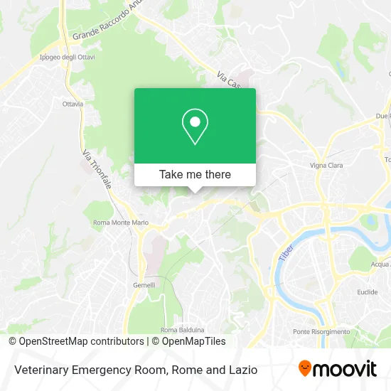 Veterinary Emergency Room map