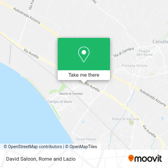 David Saloon map