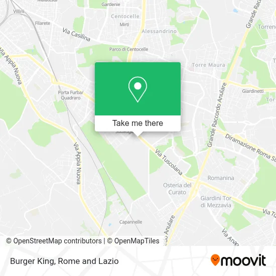 Burger King map