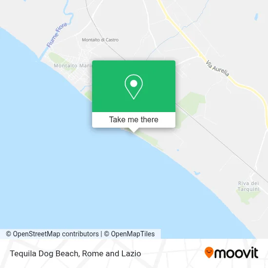 Tequila Dog Beach map