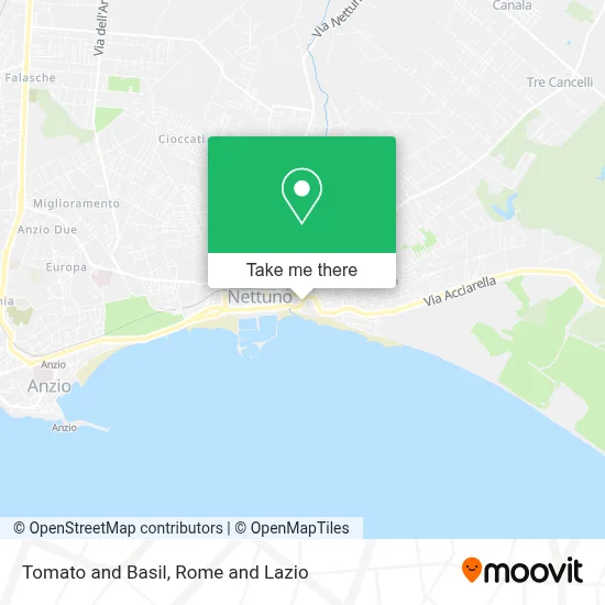 Tomato and Basil map