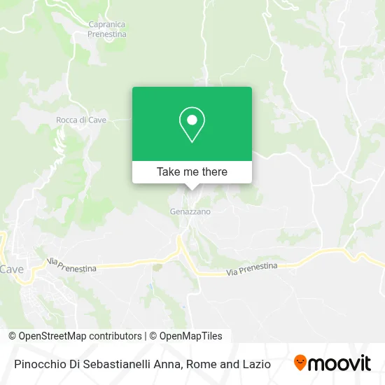 Pinocchio Di Sebastianelli Anna map