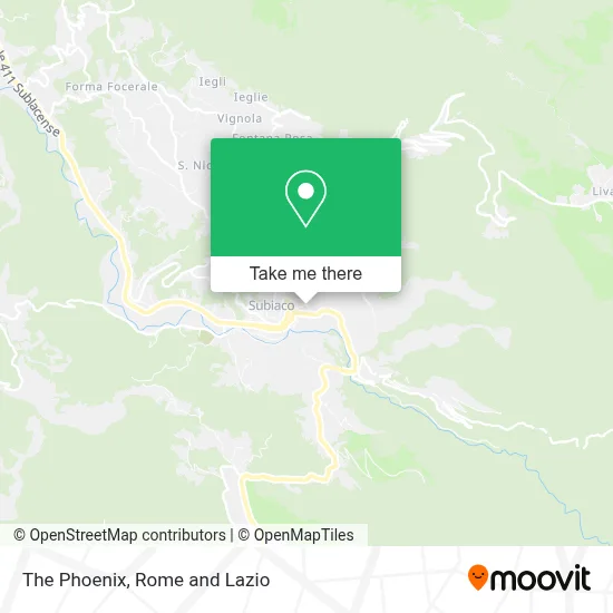 The Phoenix map