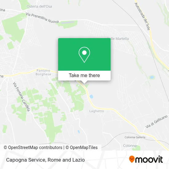 Capogna Service map