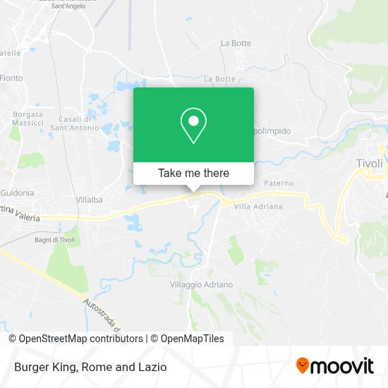 Burger King map