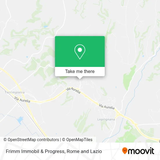 Frimm Immobil & Progress map