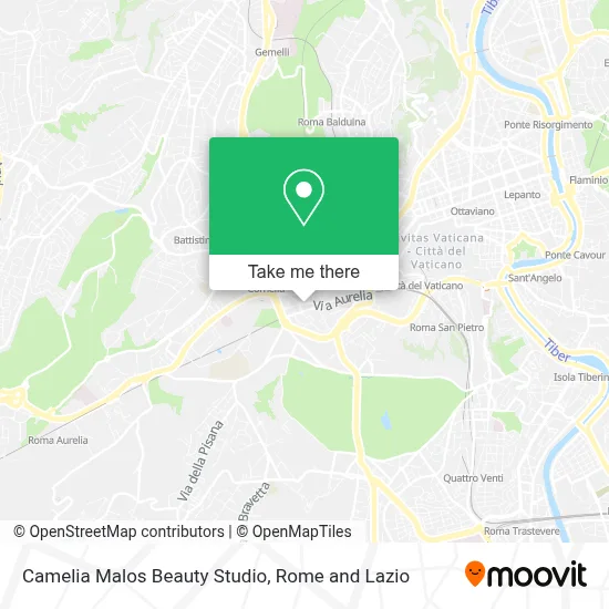 Camelia Malos Beauty Studio map