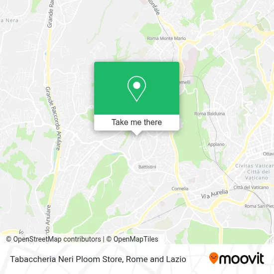 Tabaccheria Neri Ploom Store map