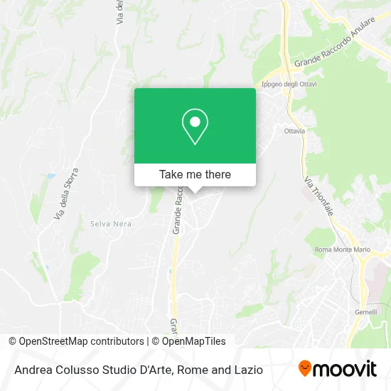 Andrea Colusso Studio D'Arte map