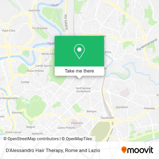 D'Alessandro Hair Therapy map