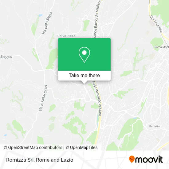 Romizza Srl map