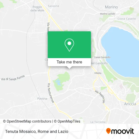 Tenuta Mosaico map