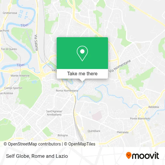 Self Globe map