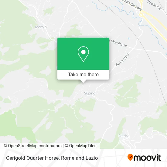 Cerigold Quarter Horse map
