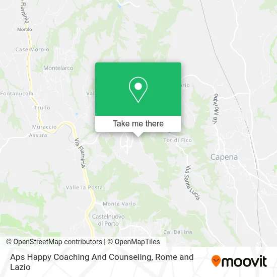 Aps Happy Coaching And Counseling map
