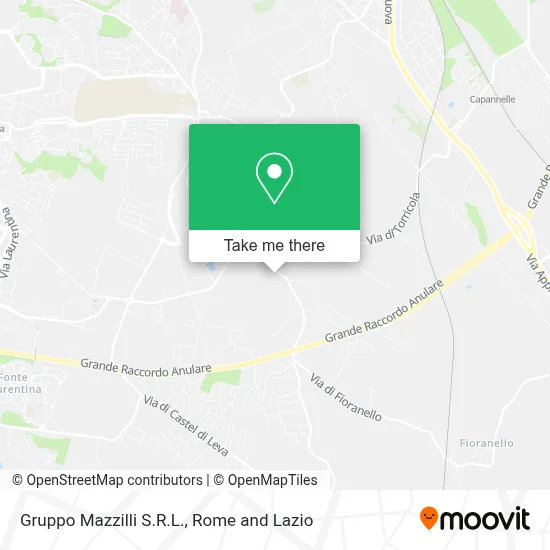 Gruppo Mazzilli S.R.L. map
