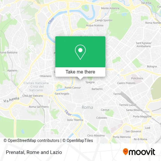 Prenatal map