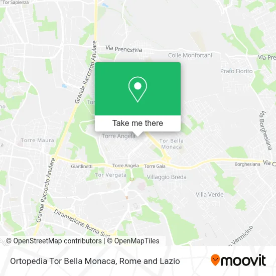 Ortopedia Tor Bella Monaca map