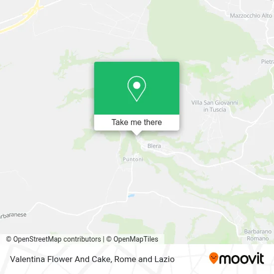 Valentina Flower And Cake map