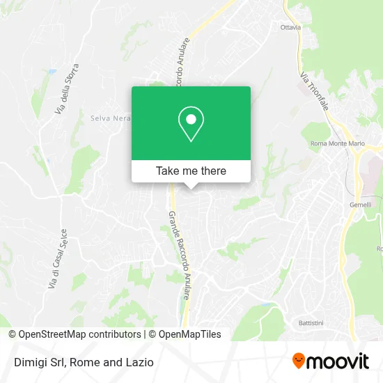 Dimigi Srl map